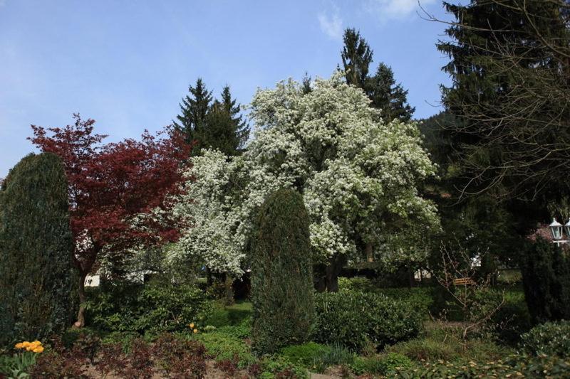 Hotel Garni Cafe Schacher Oberwolfach Bagian luar foto