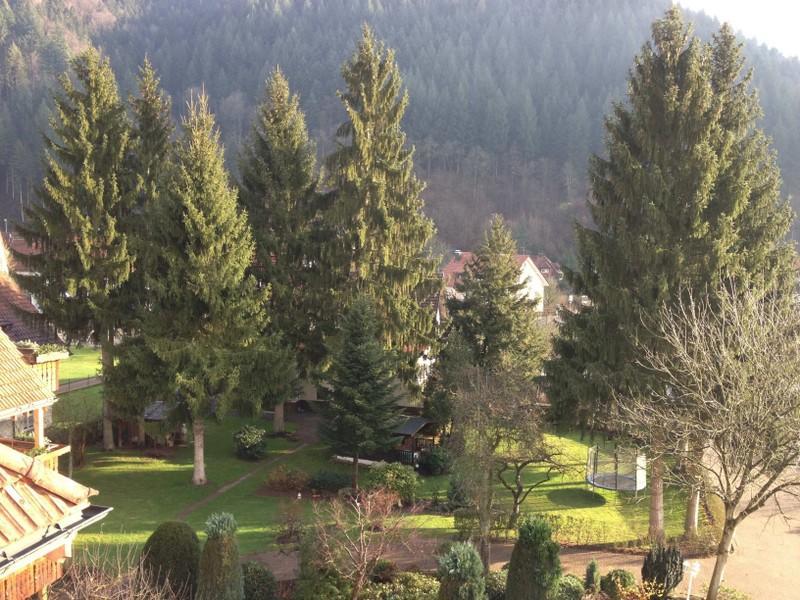 Hotel Garni Cafe Schacher Oberwolfach Bagian luar foto